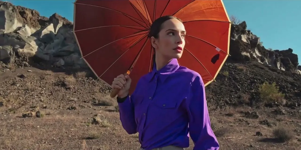 Still from the film Robert Friedman Collection